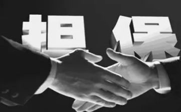 个人借款担保合同精选6篇