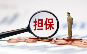 担保公司的个人总结模板7篇
