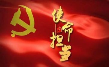 党支上半年工作总结最新6篇