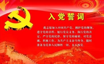 党支上半年工作总结参考7篇