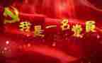 2023党年总结报告推荐7篇
