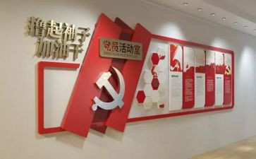 党建个人总结参考5篇