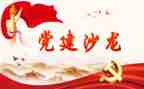 党建2023半年总结报告8篇