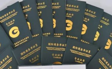 2024单证员年度工作总结5篇