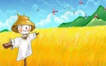 稻草人读后感100字6篇