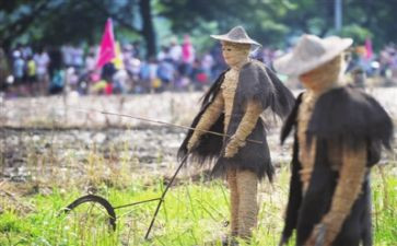 读稻草人读书心得推荐7篇