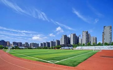 考大学调查报告6篇