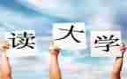 大一班级工作总结报告7篇