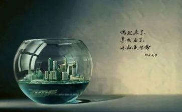 中考得失作文5篇