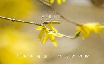 得与失自我总结范文通用5篇