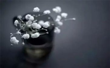 得与失自我总结范文最新5篇