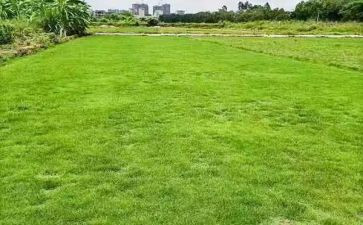 地铁施工工作总结7篇