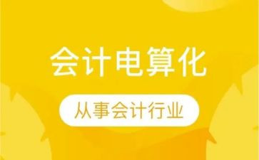 会计电算化心得体会5篇