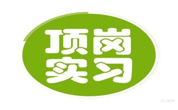 顶岗实习个人实习总结优秀5篇