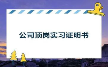 顶岗学生个人总结参考6篇