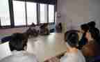 顶岗实习个人实习总结模板5篇