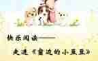 语言捡豆豆教案6篇
