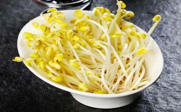 长豆芽作文通用7篇