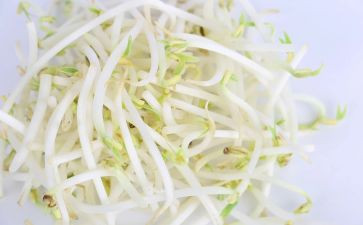 发豆芽作文6篇