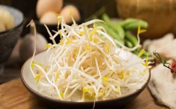 小豆芽作文400字7篇