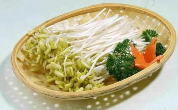 小豆芽作文300字8篇