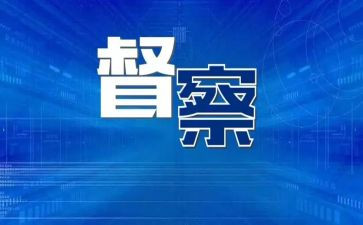 大督查工作总结6篇