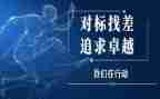对标对表调研报告推荐8篇