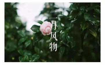 幼儿中班二月份工作总结6篇