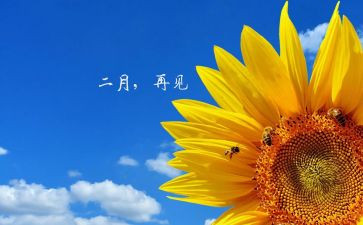 幼儿园十二月计划优质7篇