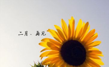 二月工作总结5篇