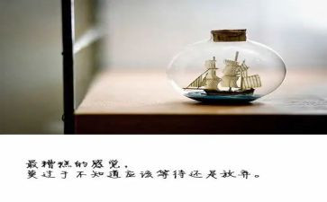51放假的作文7篇
