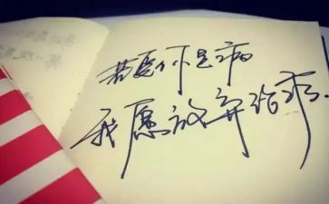 我放飞理想作文600字7篇