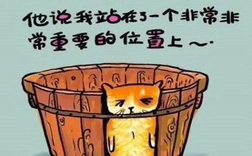 工作总结和反思5篇