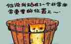工作总结和反思推荐6篇