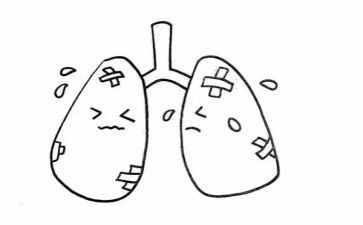 幼儿园关于肺的教案参考6篇