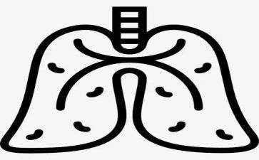 幼儿园关于肺的教案精选6篇