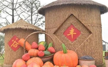 农民丰收节庆祝活动方案5篇