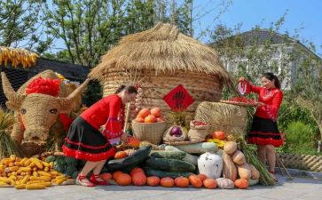 丰收节作文模板5篇