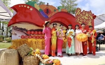 丰收节作文通用8篇