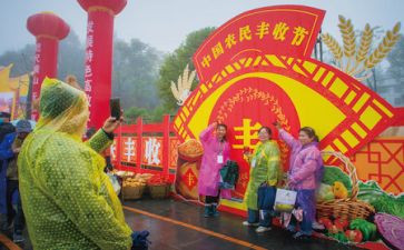 2024年丰收节作文优秀8篇