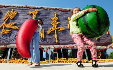 丰收节作文600字作文参考8篇