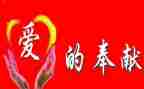 教师奉献的事迹模板5篇