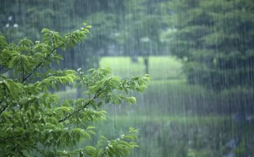 面对风雨的作文5篇