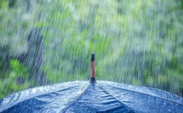 面对风雨的作文模板8篇
