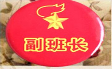 大学副班长工作计划5篇