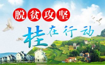 扶贫工作总结范文5篇