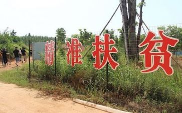 局扶贫工作总结最新8篇
