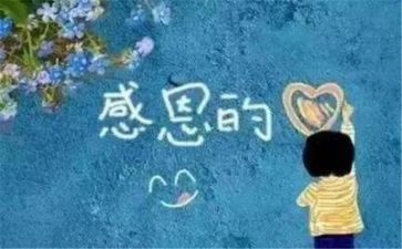 感恩老师演讲稿优秀8篇