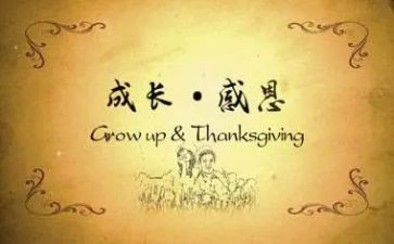 感恩老师演讲稿8篇
