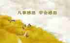 感恩主题活动总结优质8篇
